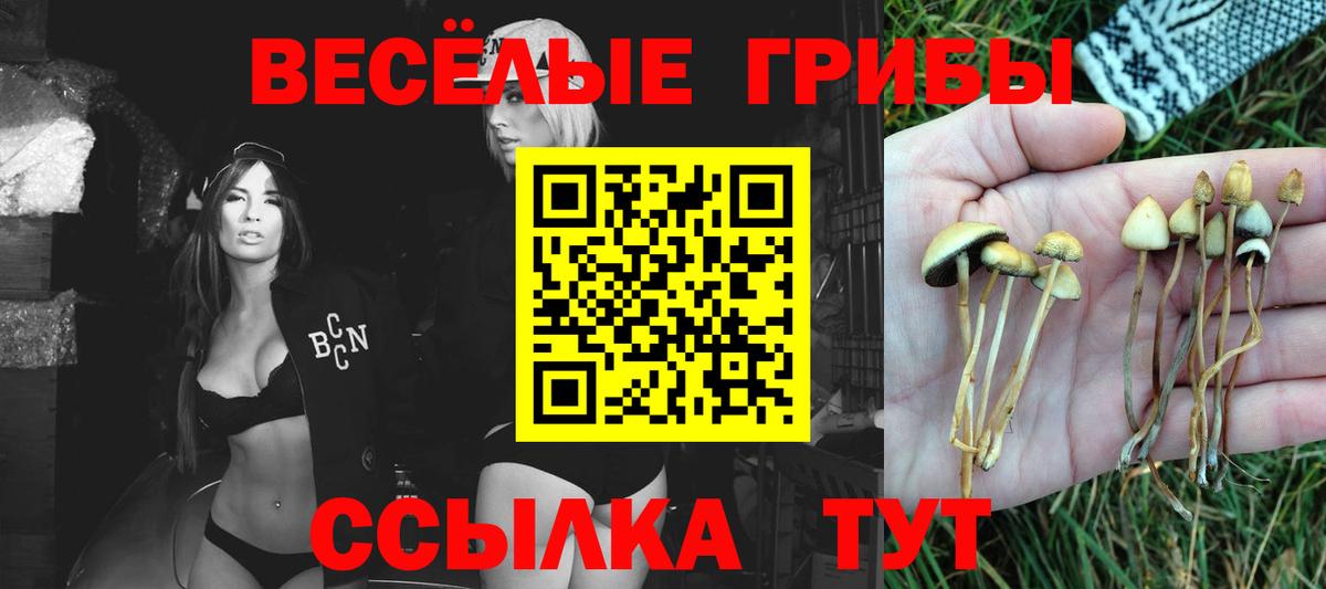 Армавир  наркота  Вход с VPN  Псилоцибиновые грибы MAGIC MUSHROOMS  Галлюциногенные грибы ЛСД 